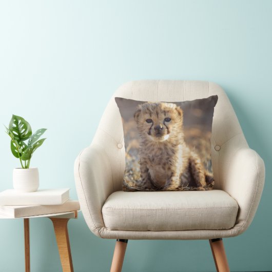 Cheetah 19 dagen oude mannelijke kubus kussen (Stoel)