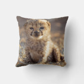 Cheetah 19 dagen oude mannelijke kubus kussen (Achterkant)
