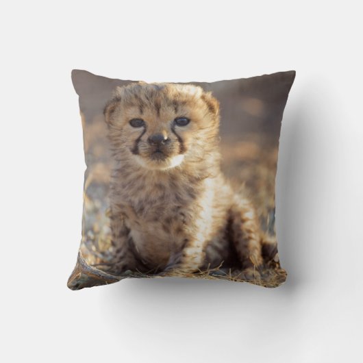 Cheetah 19 dagen oude mannelijke kubus kussen (Achterkant)