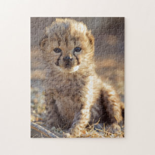 Cheetah 19 dagen oude mannelijke kubus legpuzzel
