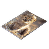 Cheetah 19 dagen oude mannelijke kubus notitieboek (Linkerzijde)