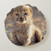 Cheetah 19 dagen oude mannelijke kubus rond kussen (Achterkant)