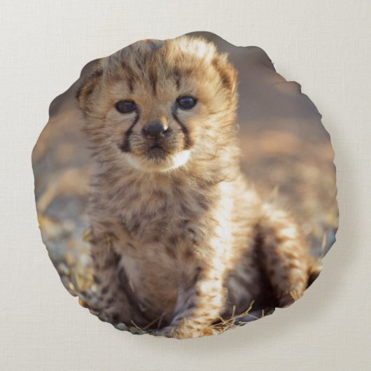 Cheetah 19 dagen oude mannelijke kubus rond kussen (Achterkant)