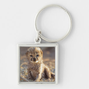 Cheetah 19 dagen oude mannelijke kubus sleutelhanger