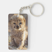Cheetah 19 dagen oude mannelijke kubus sleutelhanger (achterkant)