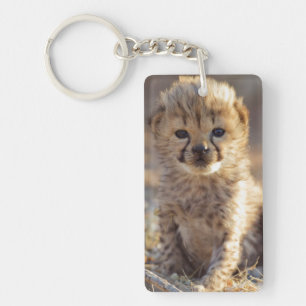 Cheetah 19 dagen oude mannelijke kubus sleutelhanger