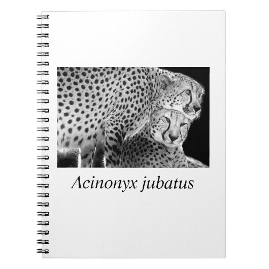 Cheetah#1 Notitieboek (Voorkant)