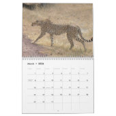 Cheetah 2008 kalender (Mar 2026)