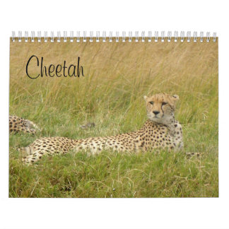 Cheetah 2008 kalender
