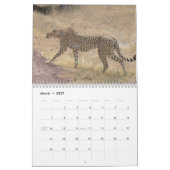 Cheetah 2008 kalender (Mar 2027)