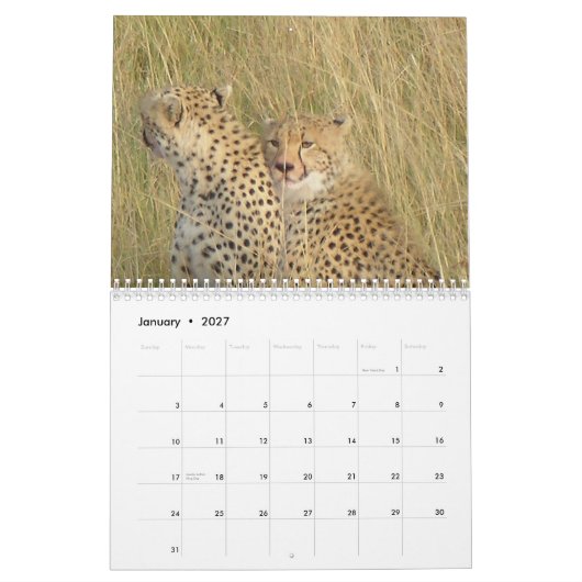 Cheetah 2008 kalender (Jan 2027)