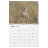 Cheetah 2008 kalender (Feb 2027)