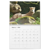 Cheetah 2025 kalender (Feb 2026)