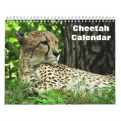 Cheetah 2025 kalender (Hoes)