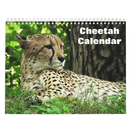 Cheetah 2025 kalender (Hoes)