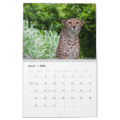 Cheetah 2025 kalender (Mar 2026)