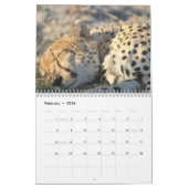 Cheetah 2025 kalender (Feb 2026)