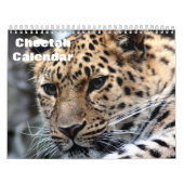 Cheetah 2025 kalender (Hoes)