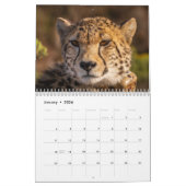 Cheetah 2025 kalender (Jan 2026)