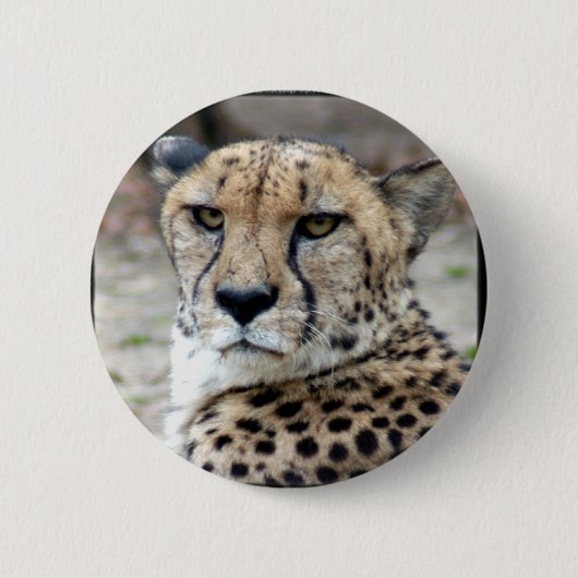 Cheetah-8934e-Bfram Ronde Button 5,7 Cm (Voorkant)