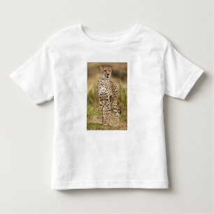 Cheetah, Acinonyx jubatus, in de Masai Mara Kinder Shirts