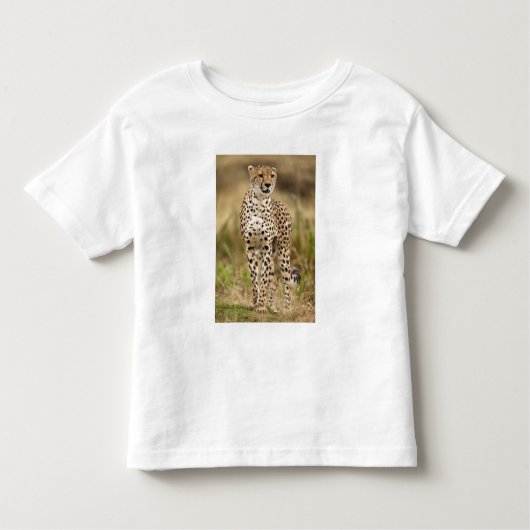 Cheetah, Acinonyx jubatus, in de Masai Mara Kinder Shirts (Voorkant)