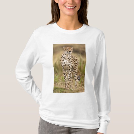 Cheetah, Acinonyx jubatus, in de Masai Mara T-shirt (Voorkant)