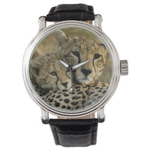 Cheetah, Acinonyx jubatus, met cub in de Masai 2 Horloge