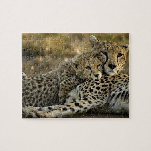 Cheetah, Acinonyx jubatus, met cub in de Masai 2 Legpuzzel (Horizontaal)