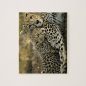 Cheetah, Acinonyx jubatus, met cub in de Masai 2 Legpuzzel (Verticaal)