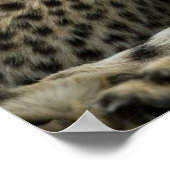 Cheetah, Acinonyx jubatus, met cub in de Masai 2 Poster (Hoek)