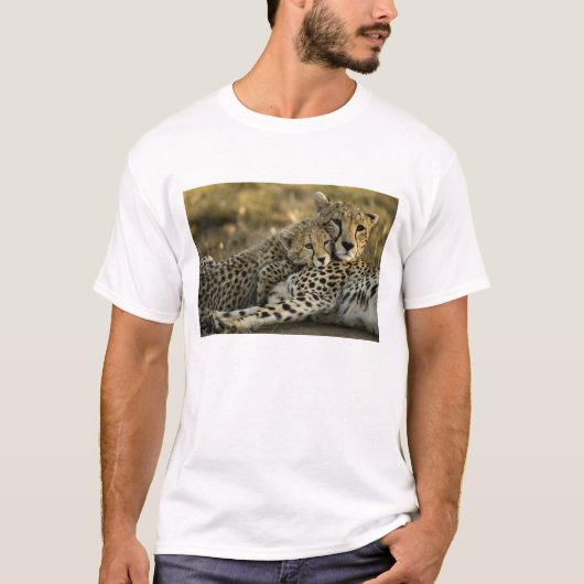 Cheetah, Acinonyx jubatus, met cub in de Masai 2 T-shirt (Voorkant)