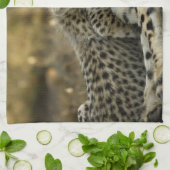 Cheetah, Acinonyx jubatus, met cub in de Masai 2 Theedoek (Gevouwen)