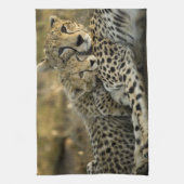 Cheetah, Acinonyx jubatus, met cub in de Masai 2 Theedoek (Verticaal)