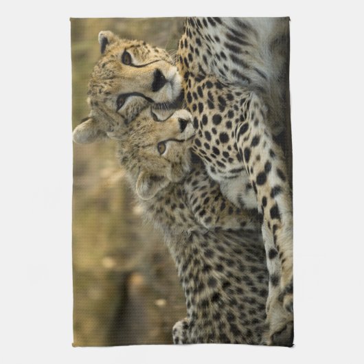 Cheetah, Acinonyx jubatus, met cub in de Masai 2 Theedoek (Verticaal)