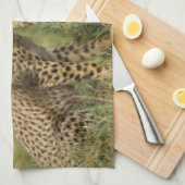 Cheetah, Acinonyx jubatus, met welp Theedoek (Quarter Fold)