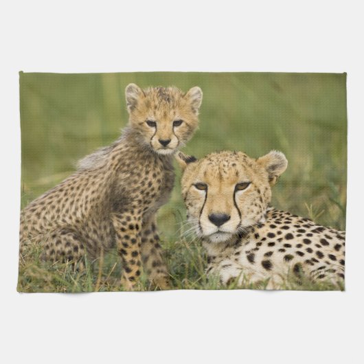 Cheetah, Acinonyx jubatus, met welp Theedoek (Horizontaal)