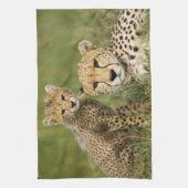 Cheetah, Acinonyx jubatus, met welp Theedoek (Verticaal)