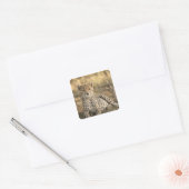 Cheetah, Acinonyx jubatus Vierkante Sticker (Envelop)