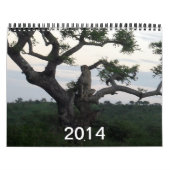 Cheetah-agenda 2014 kalender (Hoes)