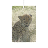 Cheetah Air Freshener Luchtverfrisser (Voorkant)