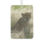 Cheetah Air Freshener Luchtverfrisser (Achterkant)