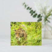 Cheetah Animal Briefkaart (Staand voorkant)