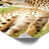 Cheetah Animal Natuur Wildlife Affection Caring Poster (Hoek)