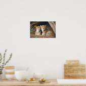 Cheetah Animal Natuur Wildlife Affection Caring Poster (Keuken)