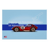 Cheetah at Riverside Perfect Poster (Voorkant)