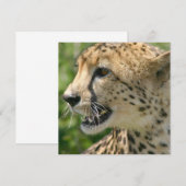 Cheetah Attack Invitation Kaart (Voorkant / Achterkant)