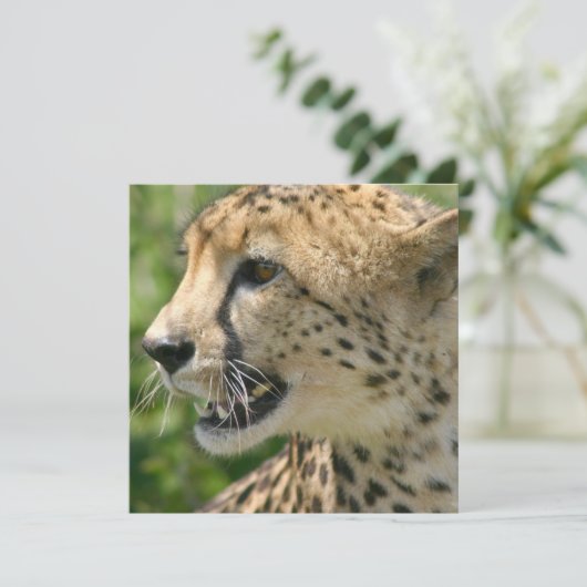 Cheetah Attack Invitation Kaart (Staand voorkant)