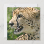 Cheetah Attack Invitation Kaart (Voorkant)