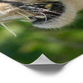 Cheetah Attack Poster Print (Hoek)